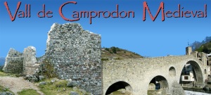 Vall de Camprodon medieval